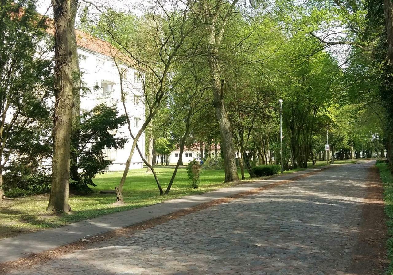 Ferienwohnung Am Schlosspark Neetzow Exterior foto